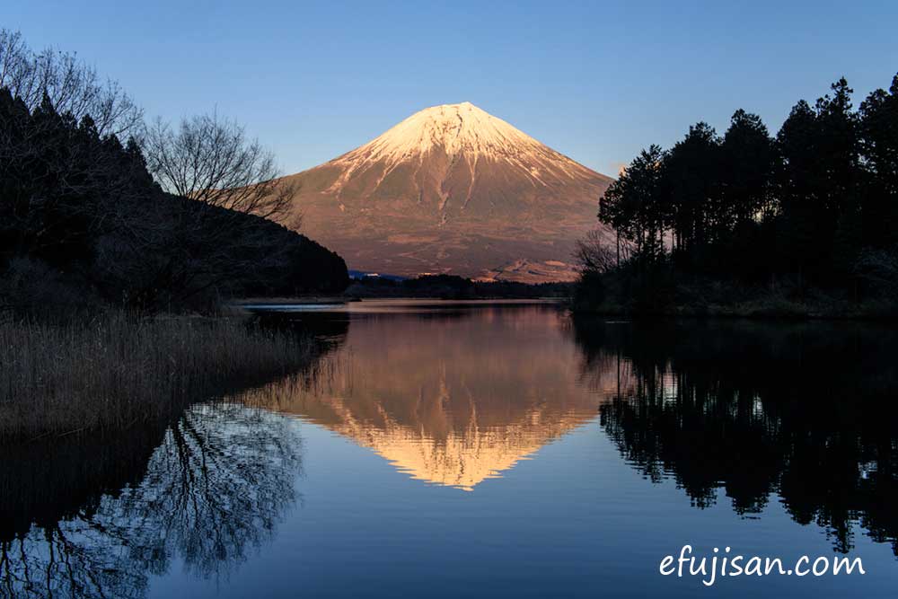 インスタ映えの富士山／逆さ富士／田貫湖