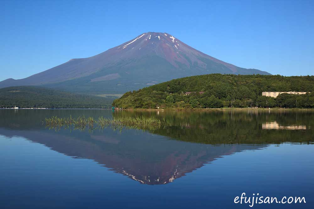 インスタ映えの富士山／逆さ富士／山中湖