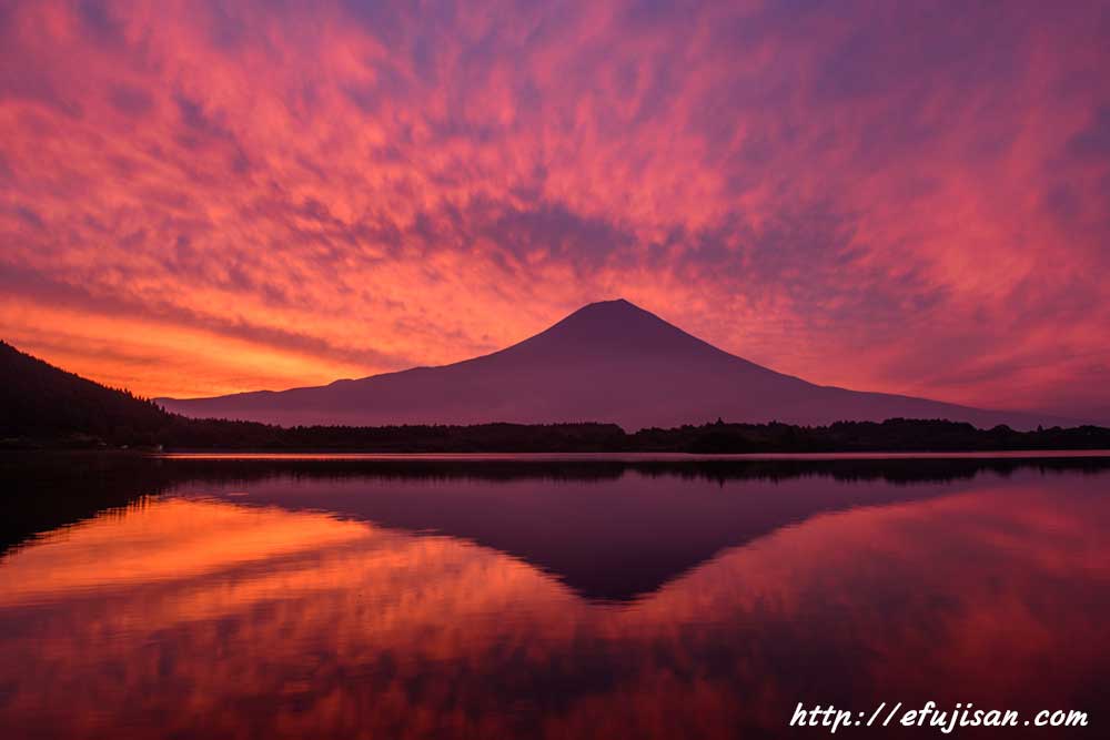 田貫湖の朝焼け富士山