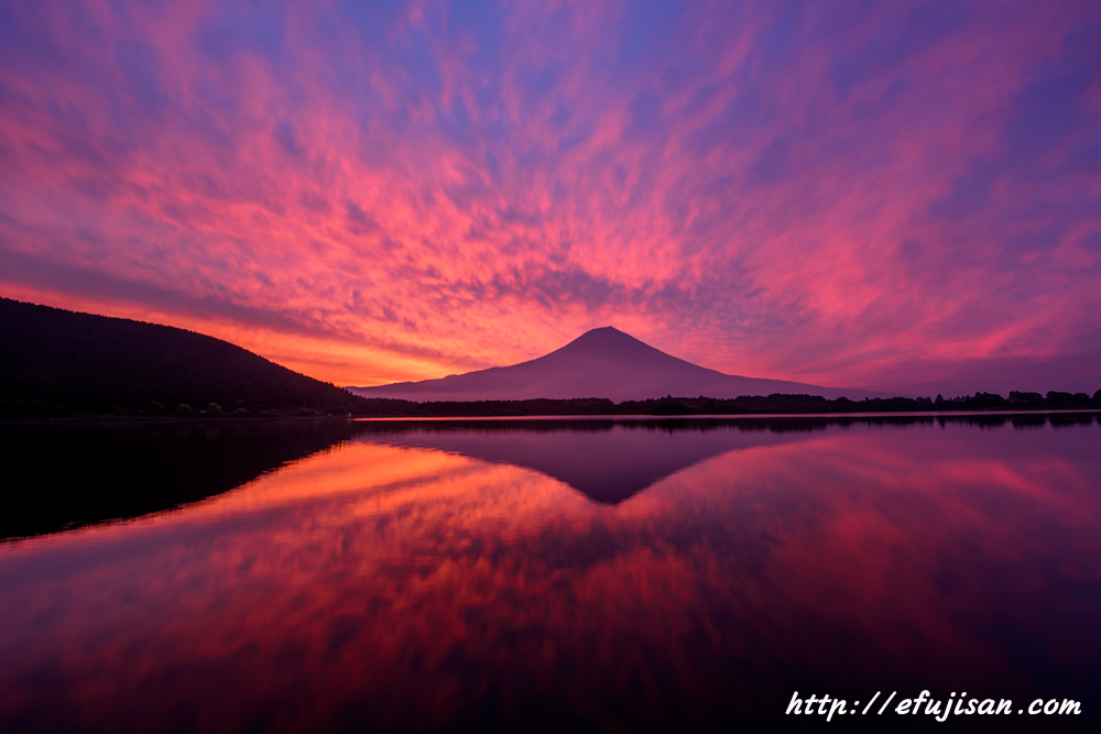 インスタ映えの富士山写真／逆さ富士／田貫湖／朝焼け２