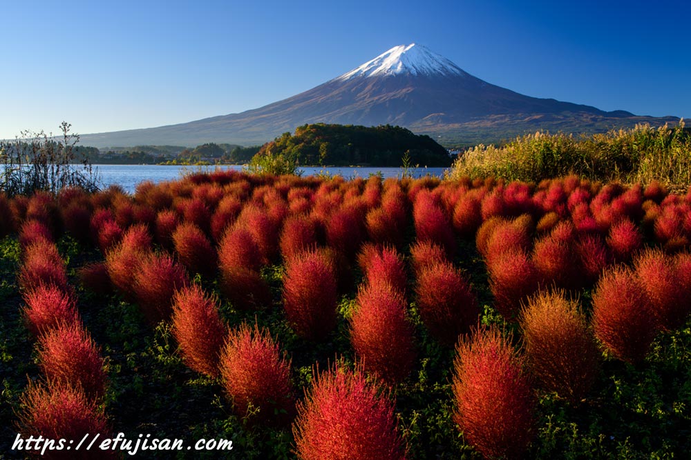 富士山写真 | Mt Fuji Photo Gallery 富士彩景