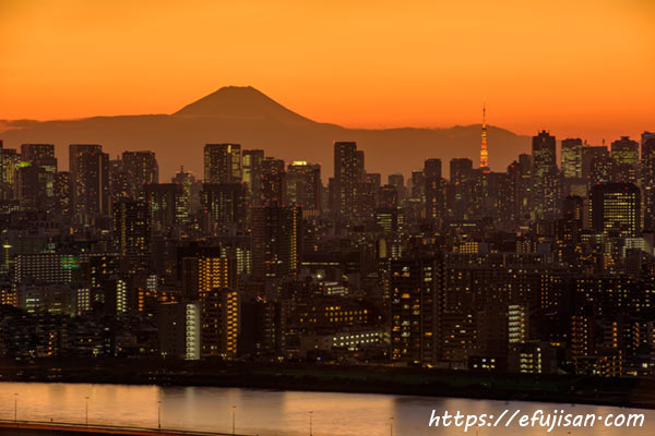 東京の夜景と富士山