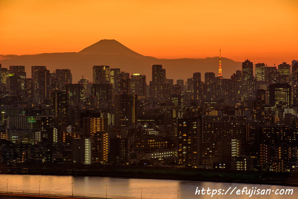 夜景と富士山