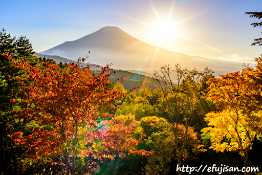 二十曲峠撮影した紅葉と富士山