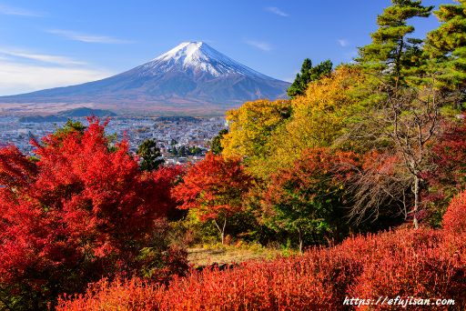 富士吉田で撮影した紅葉と富士山