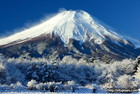 銀世界に輝く富士山（山梨県花の都公園）