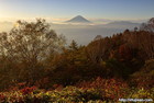 富士山写真｜秋