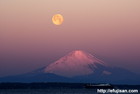 富士山写真｜パール富士