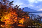 夜景｜富士山｜ライトアップ