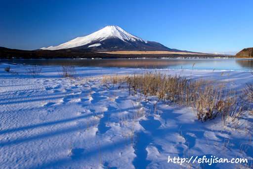 光と影｜富士山写真｜雪景色