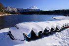 西湖｜雪景色｜富士山｜冬