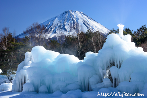青い氷と富士山２｜野鳥の森公園