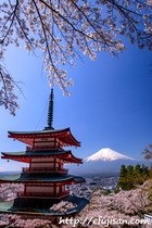 五重の塔と富士山
