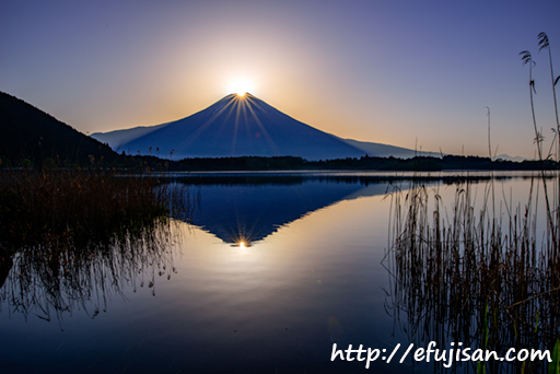 湖畔の煌めき｜ダイヤモンド富士