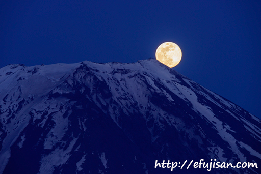 パール富士を朝霧高原で狙う｜月の模様が美しい
