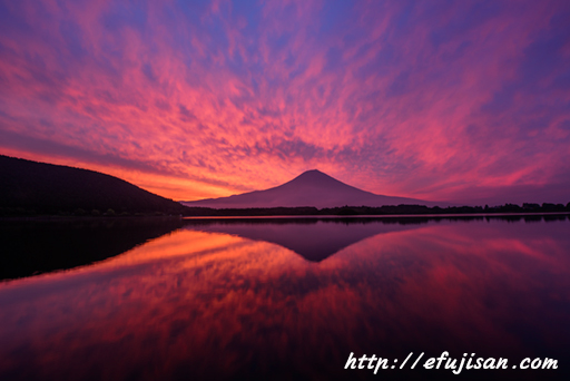 真っ赤に広がる｜富士山｜朝焼け