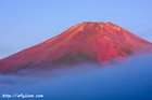 赤富士｜雲海｜富士山写真