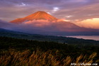 朝焼け｜赤富士｜富士山写真