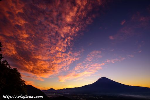 真っ赤に染まる｜朝焼け｜富士山