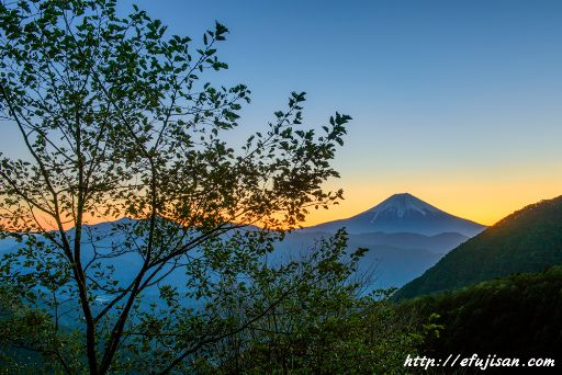 真夜中の静けさ｜夜景｜富士山