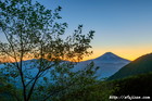 夜景｜富士山写真