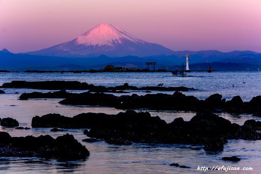 紅富士｜灯台｜葉山