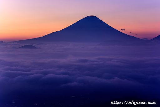 南アルプス市で見た雲海と富士