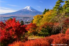 紅葉の庭園と富士山