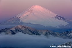 紅富士になる富士山と雲海