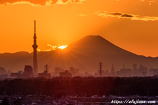 東京スカイツリーと富士山