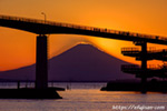 影富士｜中之島大橋と富士山