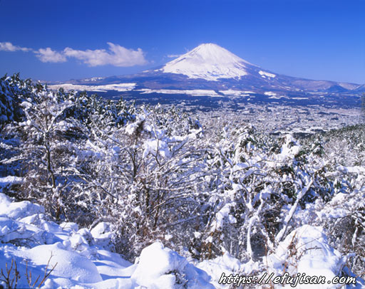 雪景色と富士山