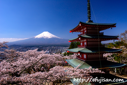 日本の春｜桜｜浅間神社｜富士山